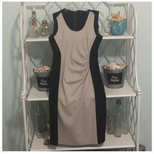 NWOT Kenneth Cole New York US 2 Beige Sheath Dress